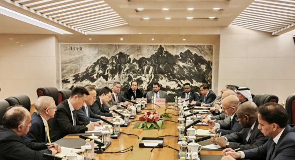 Vice Foreign Minister Chen Xiaodong Has a Group Meeting with Diplomatic ...