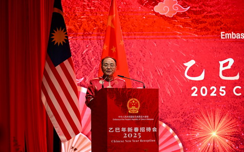 history of chinese new year in malaysia