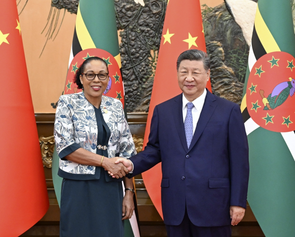 习 多米尼1.jpg