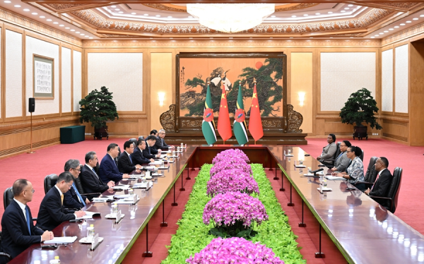 西 多米尼2.jpg