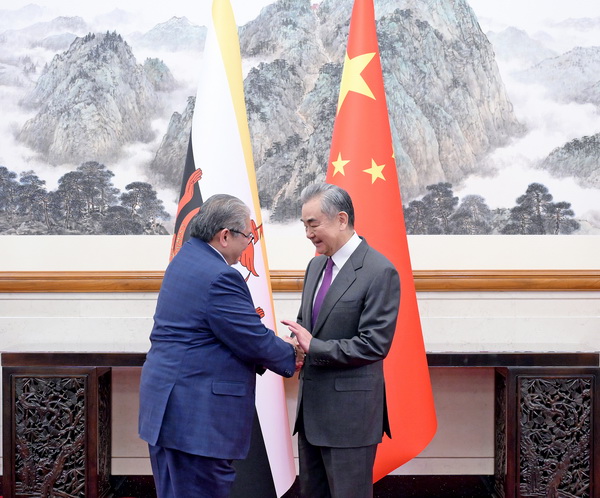 王毅 艾瑞万1.jpg