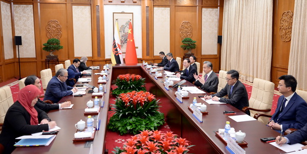 王毅 艾瑞万3.jpg