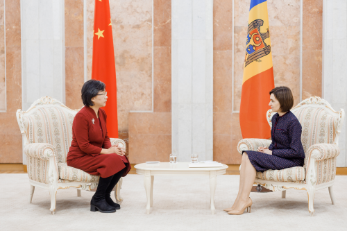 Ambasadoarea Chinei 2.jpg