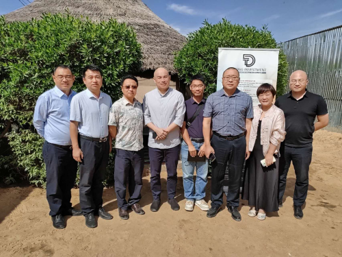 20260106 驻乍得大使王晰宁考察侨企 1.jpg