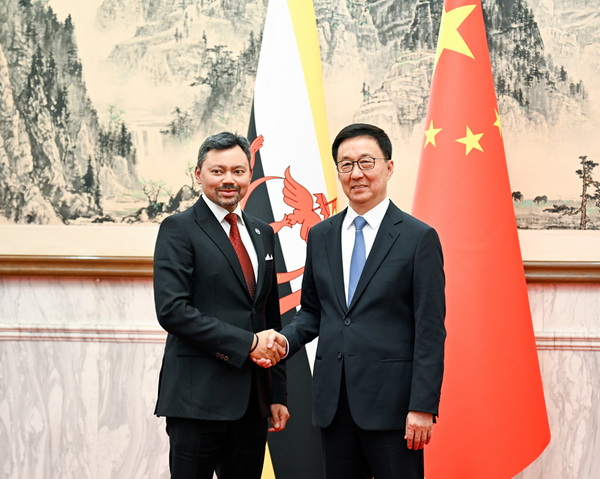 韩正同文莱王储比拉举行会谈.jpg