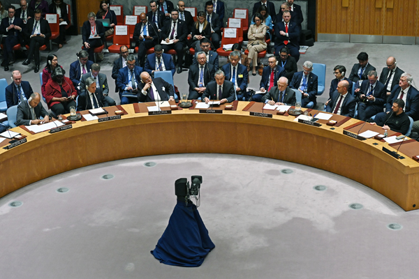 安理会2.600.jpg