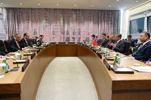 巴基斯坦外长2.jpg