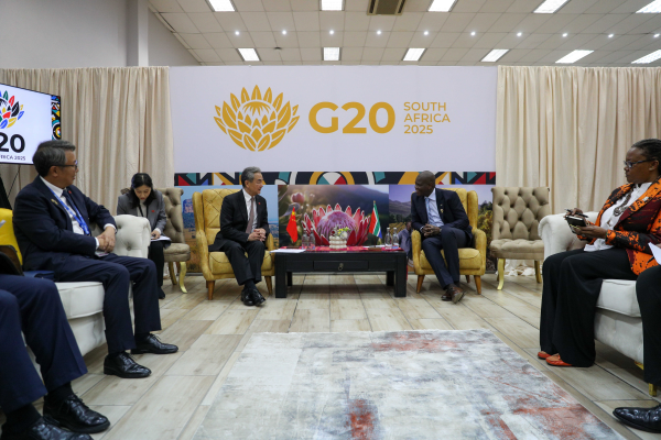 王 南非外长2.jpg