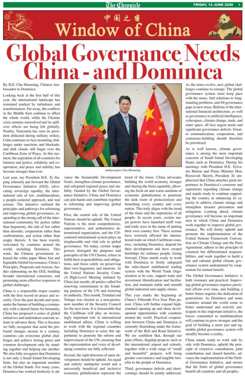 全球治理倡议需要中国也需要多米尼克.jpg