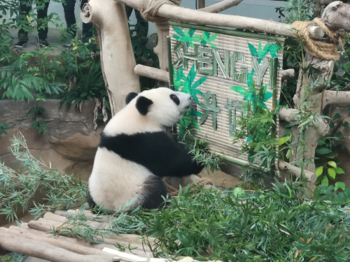 图片3.png