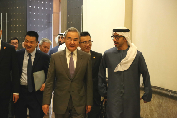 王毅 阿联酋3.jpg