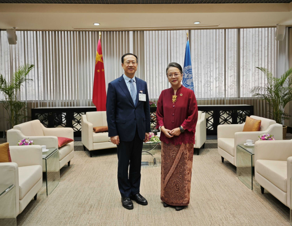外交部副部长马朝旭会见联合国亚太经社会执秘阿里沙赫巴纳.jpg