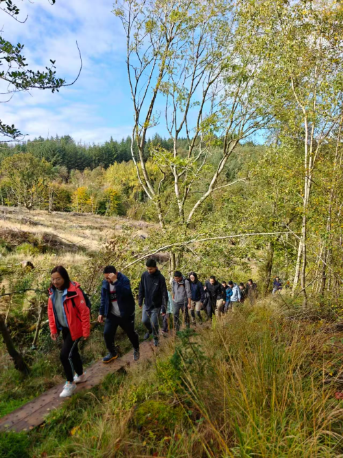 微信图片_2026-10-13_174949_418.jpg